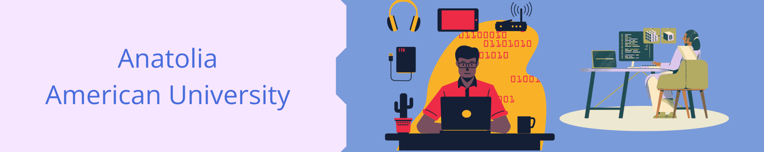 Anatolia American University